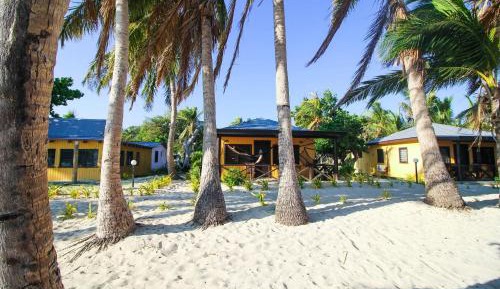 Single Bed in 10-Bed Dormitory Room