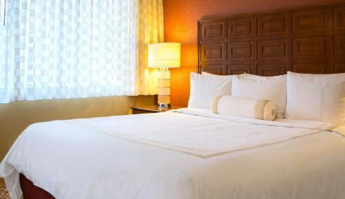 Executive King or Double Room
