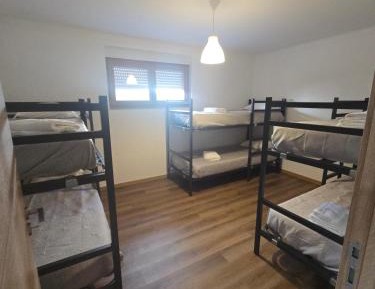 Bunk Bed in Mixed Dormitory Room