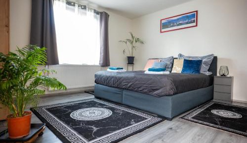 One-Bedroom House