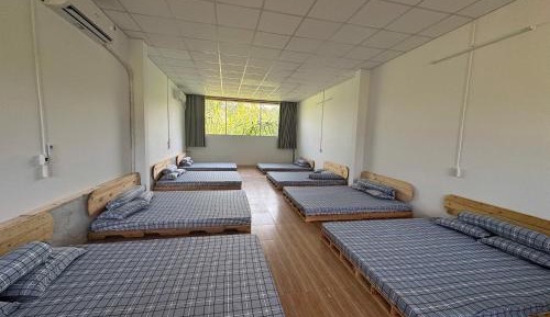 8-Bed Mixed Dormitory Room