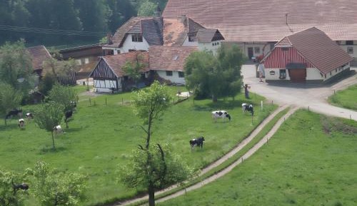 Two-Bedroom Superior Apartment