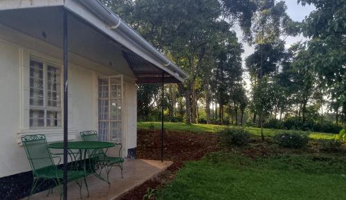 Family Room with Garden View