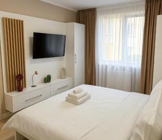 Deluxe One-Bedroom Apartment