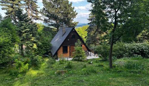 One-Bedroom Chalet