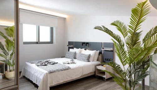 Superior Family Suite Split Level