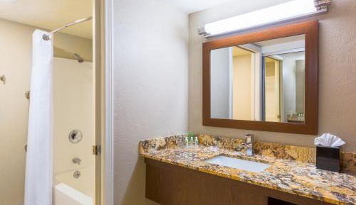 Executive Suite - Non-Smoking