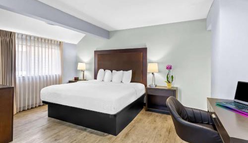 King Suite with Two King Beds and Sofa Bed 