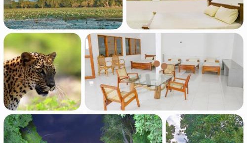 10-Bed Mixed Dormitory Room