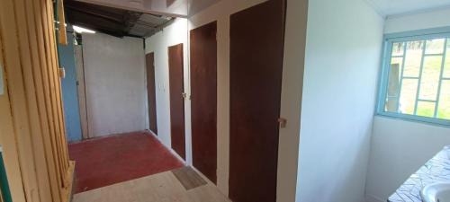 Bunk Bed in Mixed Dormitory Room