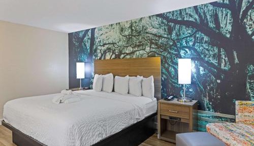 King Room - Accessible/Non-Smoking