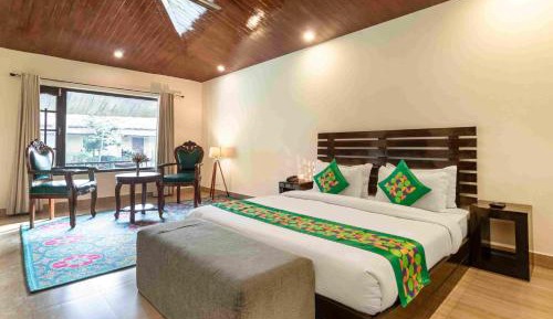 Spacious Premium Room