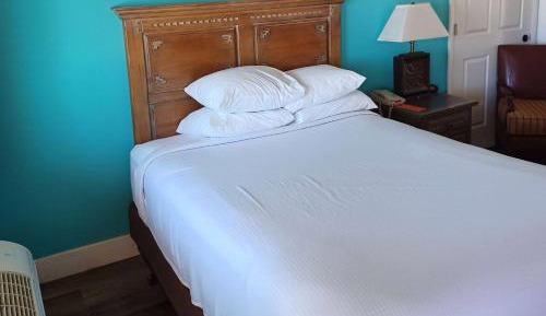 Queen Room with Mobility Access and Roll-In Shower - Non-Smoking