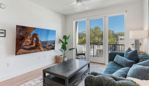 Deluxe One-Bedroom Apartment