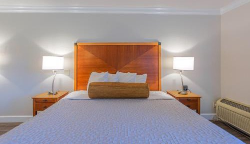 King Room - Non-Smoking