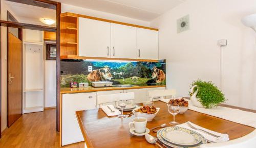 One-Bedroom Apartment with Balcony and Mountain View  