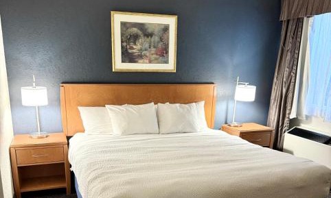 King Room - Non-Smoking
