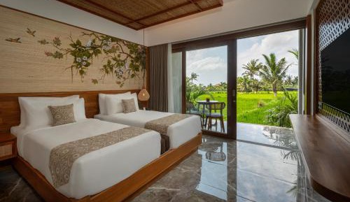 Premier Room