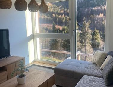 Two-Bedroom Deluxe Apartment with Balcony