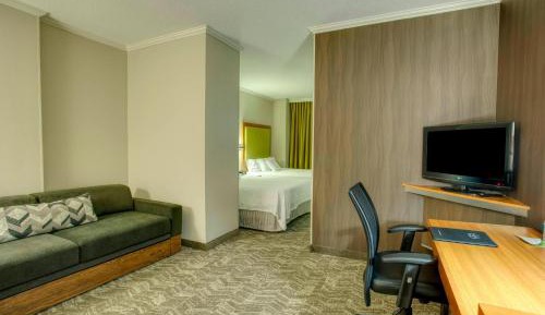 King Suite with Sofa Bed