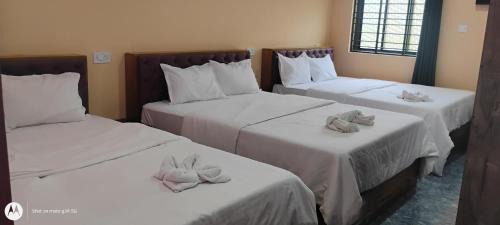 10-Bed Mixed Dormitory Room