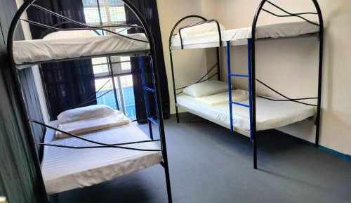 Bed in 4-Bed Female Dormitory Room