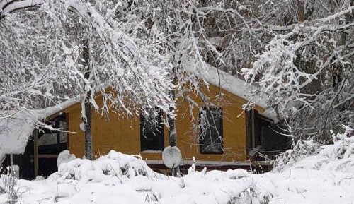Triple Room with Shared Bathroom