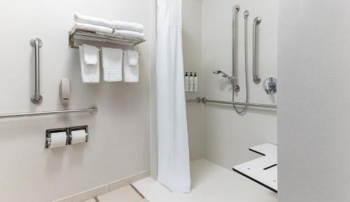 King Room with Roll-In Shower