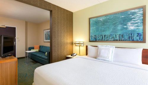 King Suite with Sofa Bed