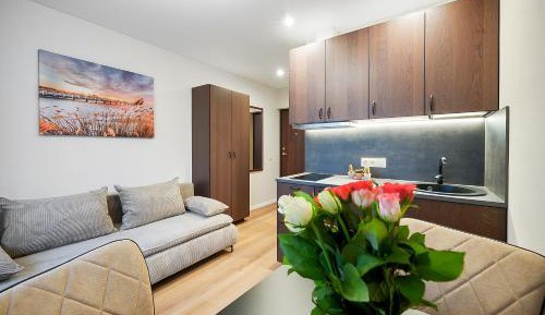 Studio Apartment