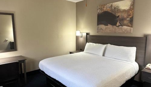 Deluxe King Room - No pets