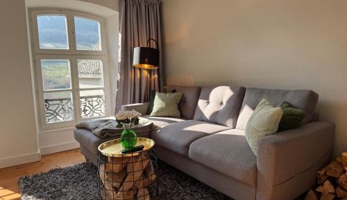 Two-Bedroom Apartment with River View