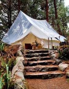 Tent