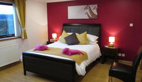 Superior King Room