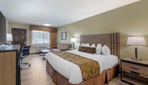 Deluxe King Room - Non Smoking