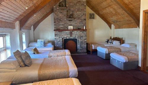 Mixed Dormitory Room