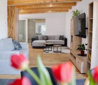One-Bedroom Apartment - Non-Smoking