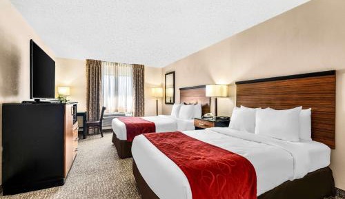 Double Room with Two Double Beds