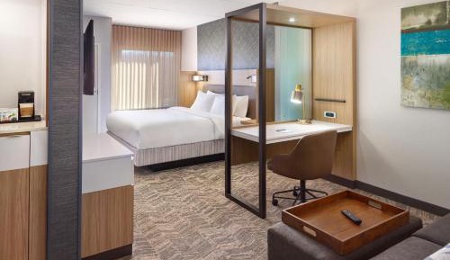 King Studio Suite with Sofa Bed - Mobility Accessible with Roll-In Shower