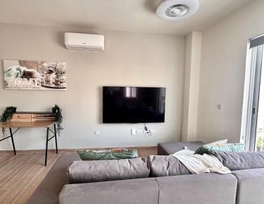 Penthouse Apartment