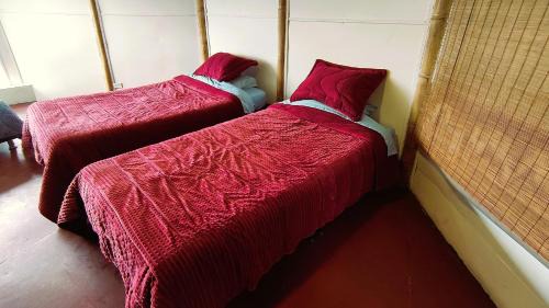 Family Room with Bathroom