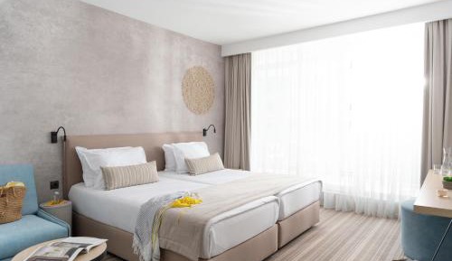 Deluxe Double or Twin Room with Balcony
