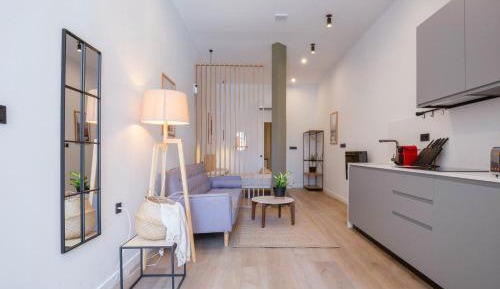 One-Bedroom Deluxe Apartment