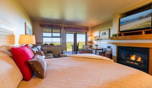 Queen Accessible Studio with Sofa Sleeper (Non Pet-Friendly)