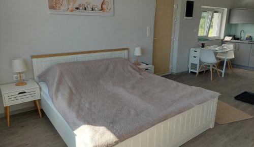 One-Bedroom Apartment with Lake View
