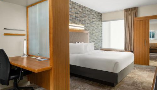 King Studio with Sofa Bed and Roll-in Shower - Mobility and Hearing Accessible