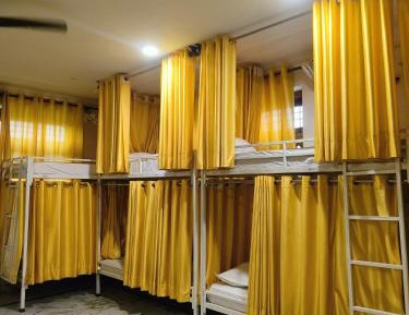 Bunk Bed in Mixed Dormitory Room