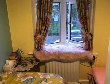Budget Single Room