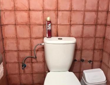 Bed in 6-Bed Mixed Dormitory Room