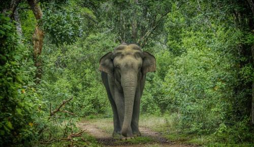 Double Room with Lake View